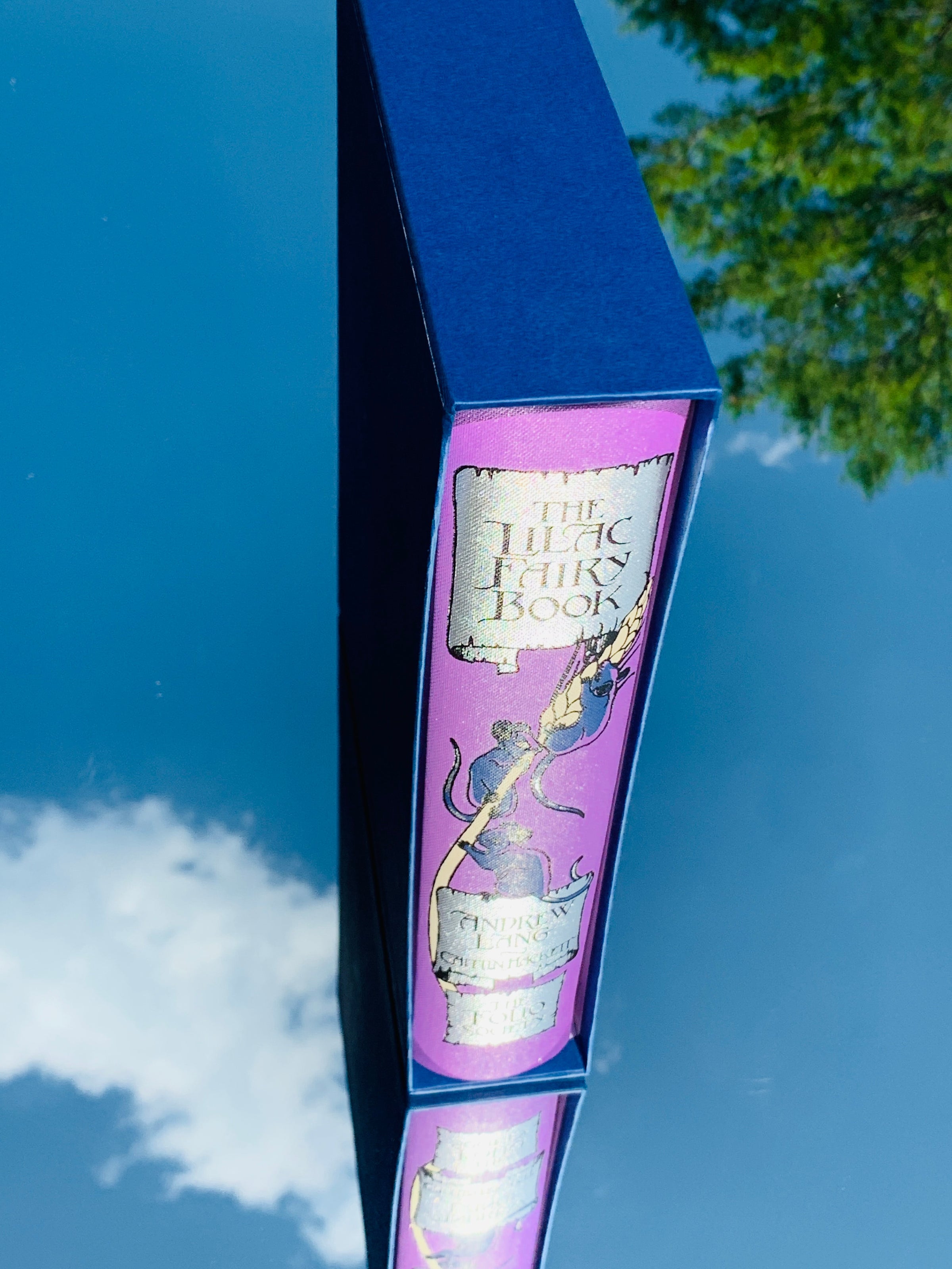 The Lilac Fairy Book - Andrew Lang | The Next Chapter
