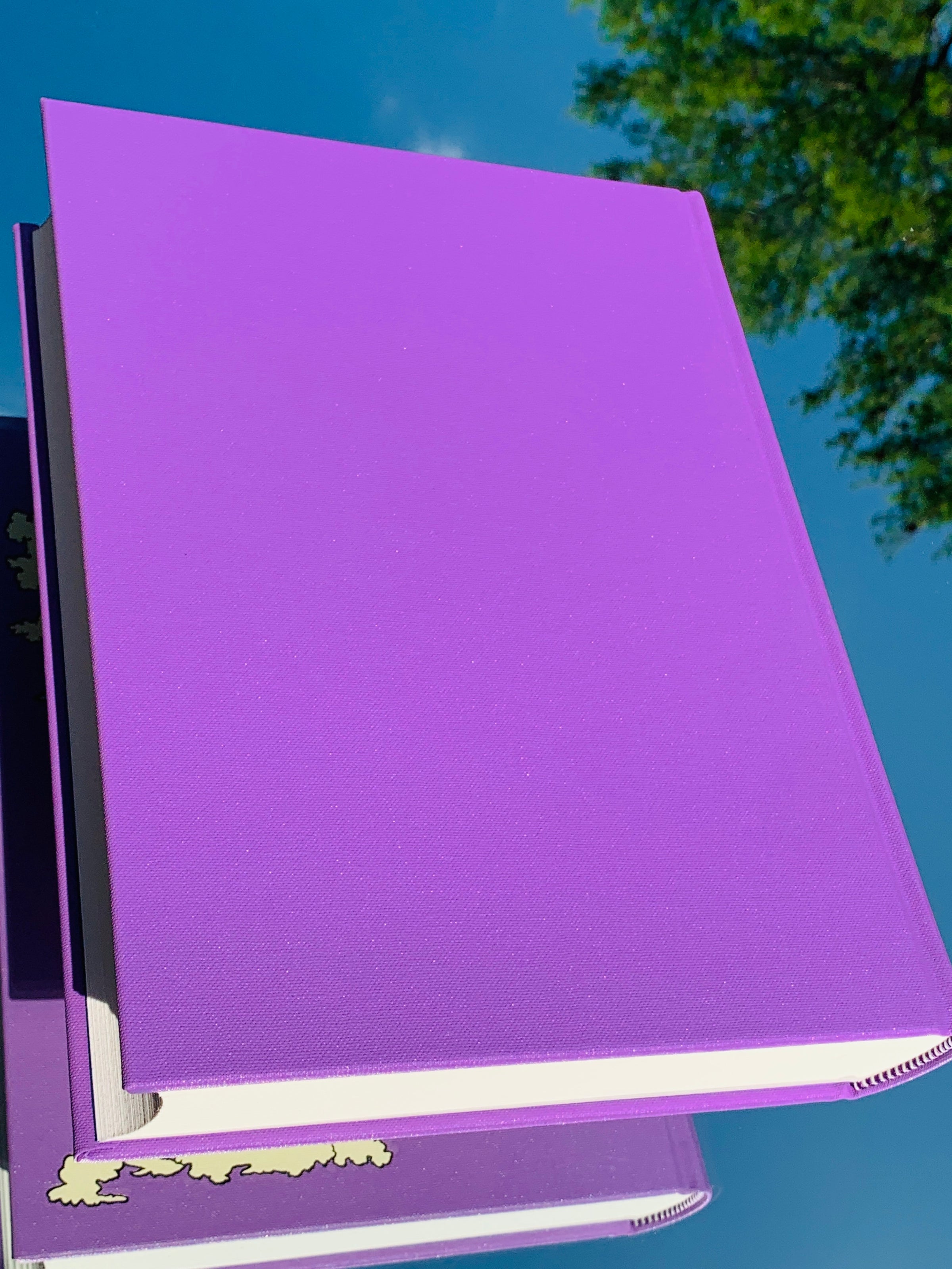 The Lilac Fairy Book - Andrew Lang | The Next Chapter